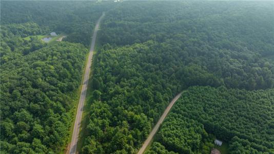 +/- 13 Acres County B / Monthei Rd., Fairchild, Wisconsin 54741, USA