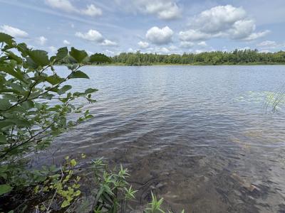 1992W Diamond Rd, Mercer, Wisconsin 54547, Estados Unidos