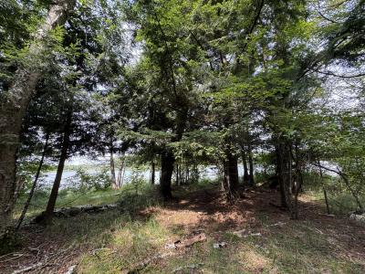 1992W Diamond Rd, Mercer, Wisconsin 54547, Estados Unidos