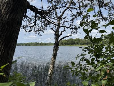 1992W Diamond Rd, Mercer, Wisconsin 54547, Estados Unidos