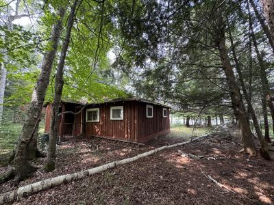 1992W Diamond Rd, Mercer, Wisconsin 54547, Estados Unidos