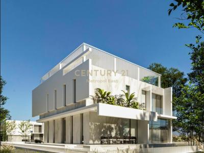 Liqeni i Thatë, Tirana, Albania