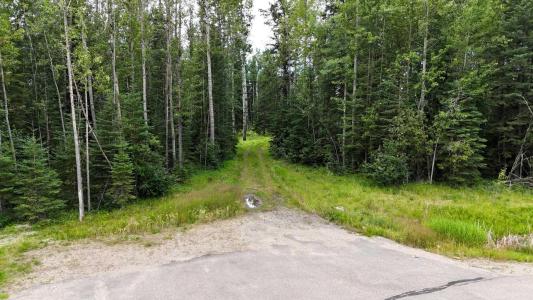 16511 TOWNSHIP ROAD 532A, Rural Yellowhead County, אלברטה T7E 3A6, קנדה 