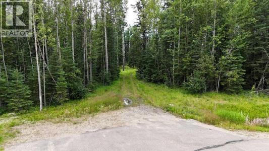 16511 TOWNSHIP ROAD 532A, Rural Yellowhead County, Альберта T7E 3A6, Канада