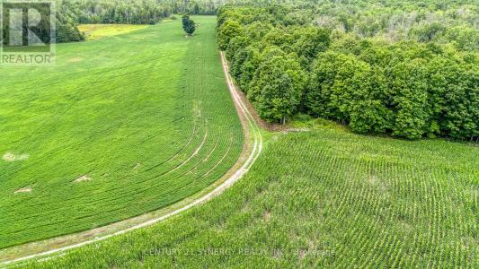 1998 DRUMMOND CONCESSION 2 CORNERS, Drummond/north Elmsley, Ontario K7H 3C3, Canada