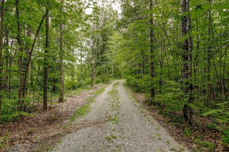 4411 UPPER BIG CHUTE ROAD, Severn, Ontario L0K 1E0, Canada