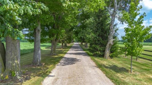 81 MCGILL ROAD, Mount Pleasant, Ontario N0E 1K0, Canada