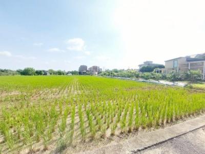 山東路, 中壢區, Taoyuan 320, Taïwan