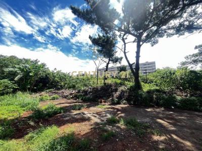 長岡嶺段, 楊梅區, Taoyuan City 326, Taiwan