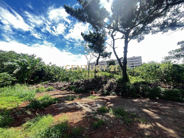 長岡嶺段, 楊梅區, 桃園市 326, 台灣