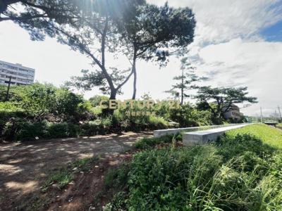 長岡嶺段, 楊梅區, 桃園市 326, 台灣