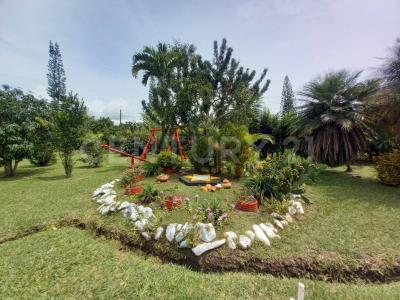 Dagua, Valle Del Cauca 00001, Colombia