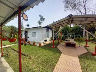 Dagua, Valle Del Cauca 00001, Colombia