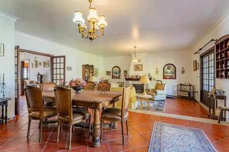 Salvaterra De Magos, 聖塔倫 2120-111, 葡萄牙