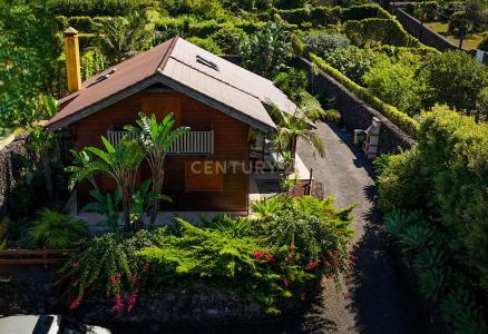 Ribeira Grande, São Miguel 9600-124, Portugal