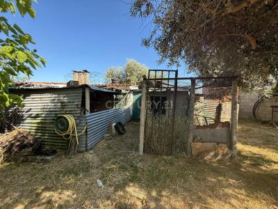 Castelo Branco, Castelo Branco 6000-541, Portugal