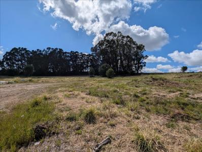 Sintra, 葡京 2710-000, 葡萄牙