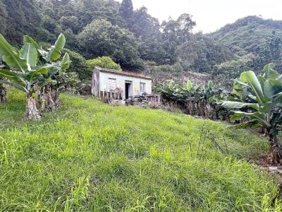 Povoação, 상미겔 섬 9650-000, 포르투갈