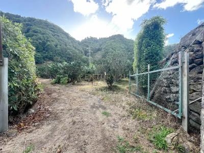 Povoação, 聖米格爾島 9650-000, 葡萄牙