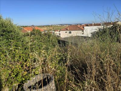Amadora, Lisbon 2650-287, Portugal