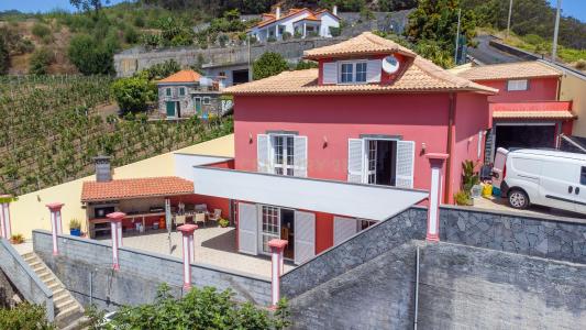 Machico, מדיירה 9200-208, פורטוגל 