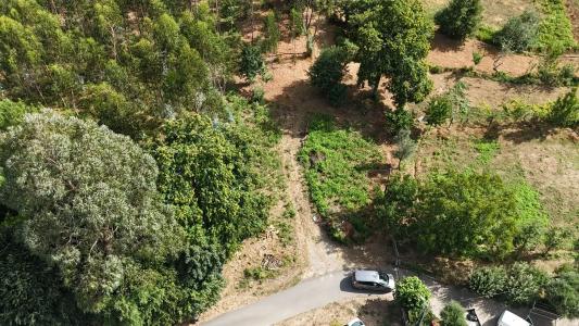 Ponte De Lima, Viana Do Castelo 4990-828, Portogallo