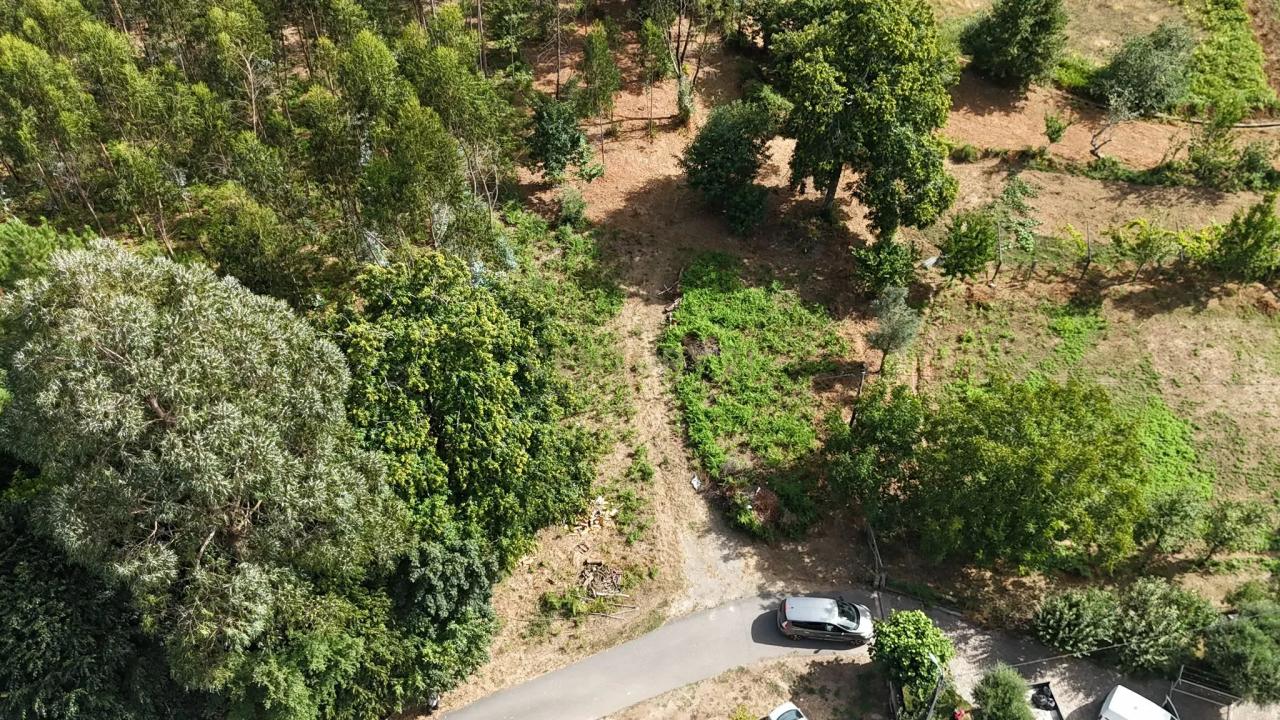 Ponte De Lima, Viana Do Castelo 4990-828, Portogallo