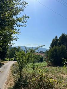 Ponte De Lima, Viana Do Castelo 4990-828, Portogallo