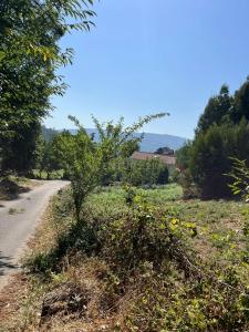 Ponte De Lima, Viana Do Castelo 4990-828, Portogallo