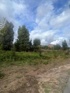 Ponte De Lima, Viana Do Castelo 4990-828, Portogallo