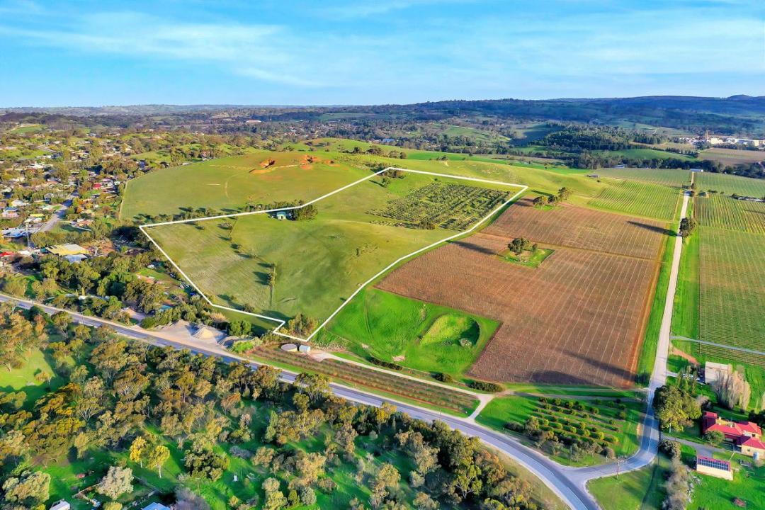 Lot 404 Richard Street, Penrice, SA 5353, Australia