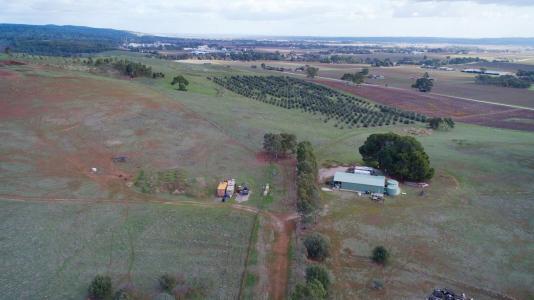 Lot 404 Richard Street, Penrice, SA 5353, Australia