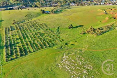 Lot 404 Richard Street, Penrice, SA 5353, Australia