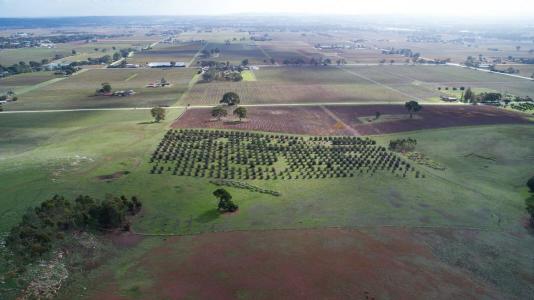 Lot 404 Richard Street, Penrice, SA 5353, Australia