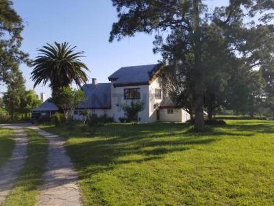 Los Cerrillos, Canelones 15800, 우루과이