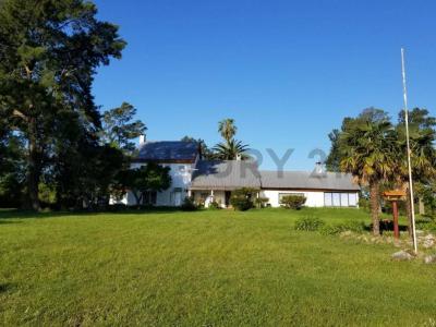 Los Cerrillos, Canelones 15800, 우루과이