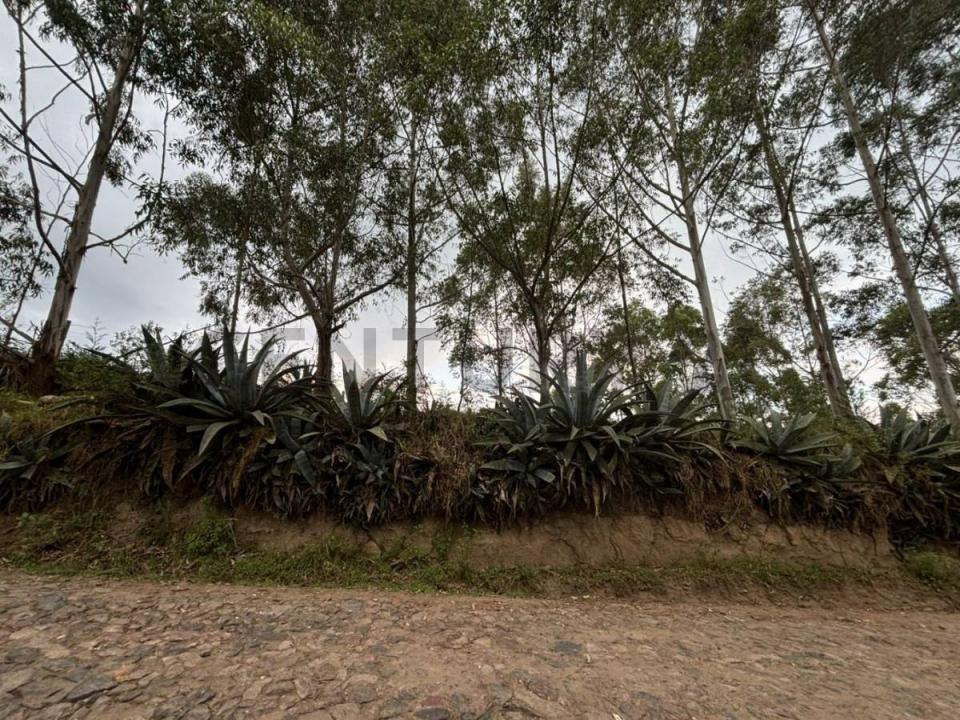 ilalo S/N, Quito, Pichincha 00001, 厄瓜多爾