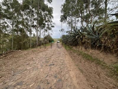 ilalo S/N, Quito, Pichincha 00001, 厄瓜多爾