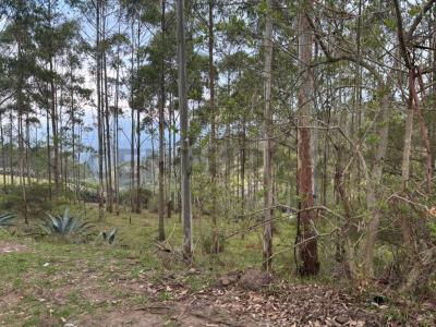 ilalo S/N, Quito, Pichincha 00001, 厄瓜多爾