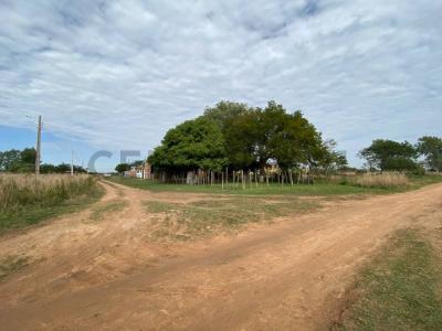 16 de Agosto - Barrio San Cayetano sin numero, Ypané, Central 00001, Paraguay