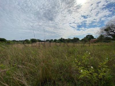 16 de Agosto - Barrio San Cayetano sin numero, Ypané, Central 00001, Paraguay