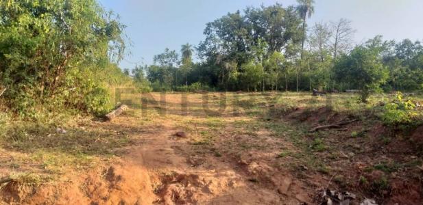 Ruta Emboscada-Nueva Colombia , Emboscada, Cordillera 030608, Paraguay