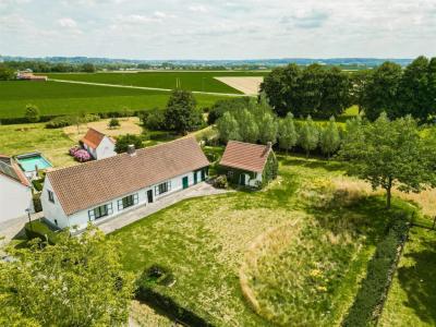 Moregemplein 16, Wortegem-petegem, Belgique