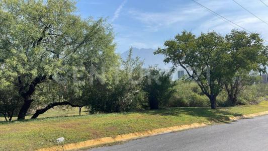 Monterrey, Nuevo León 64989, Mexico