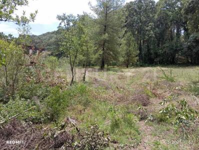 Cerrada Valle 9, Parcela 335Z12 P1/1,, Jilotzingo, Estado De México 54570, Mexiko