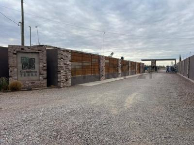 Severo del castillo 1311, Rodeo De La Cruz, 門多薩 5525, 阿根廷