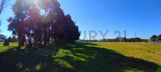 Callejon La Escondida , Luján, GBA Oeste 1755, Argentina