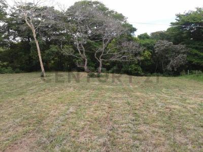 Buena Vista, Urb, Quimori , Norte, Santa Cruz 00001, Bolivia