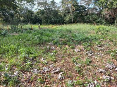 Buena Vista, Urb, Quimori , Norte, Santa Cruz 00001, Bolivia