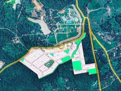 Urubo Camino , Urubo, Santa Cruz, Bolivia